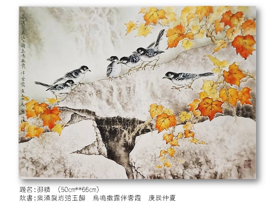 羽情