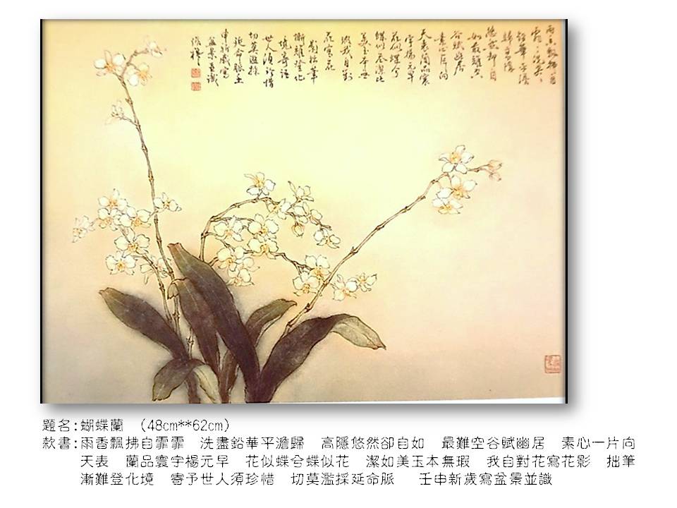 蝴蝶蘭