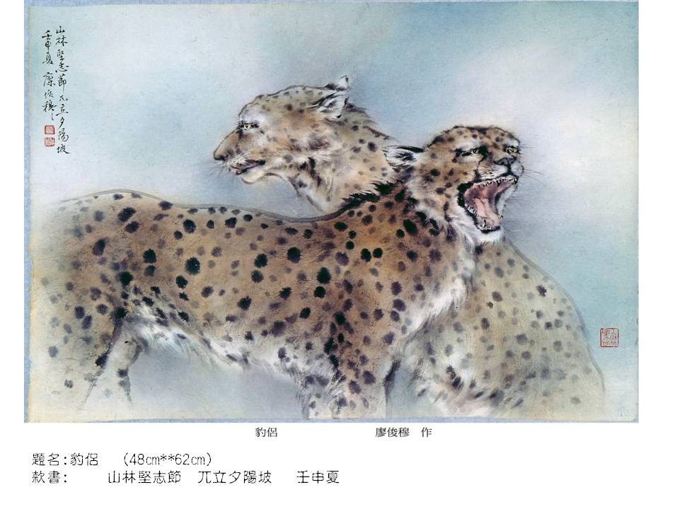 豹侶