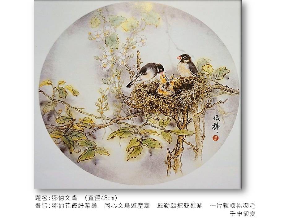 鄧伯文鳥