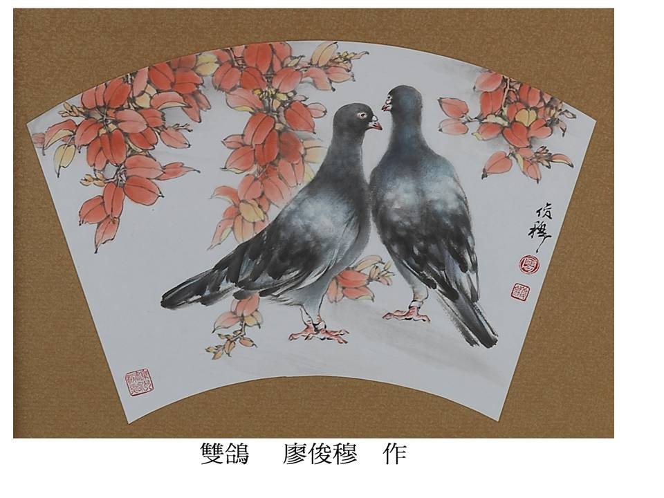 雙鴿